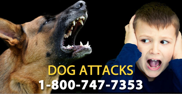 Dog Attack Lawyer - James Self